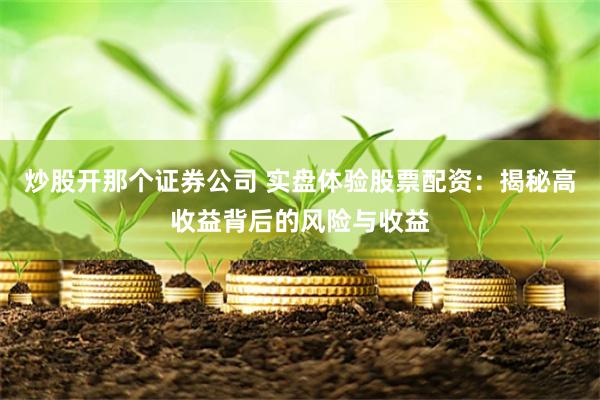 炒股开那个证券公司 实盘体验股票配资：揭秘高收益背后的风险与收益