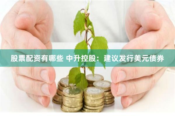 股票配资有哪些 中升控股：建议发行美元债券