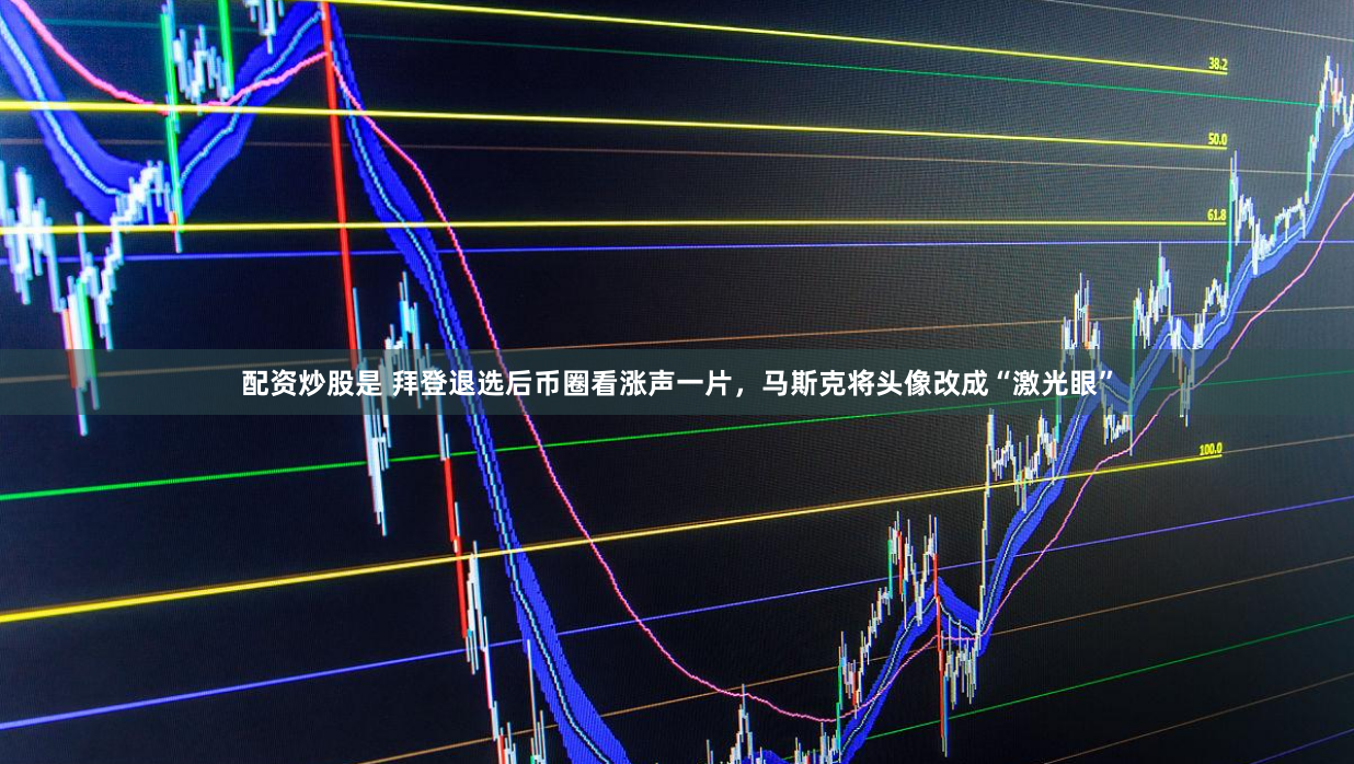 配资炒股是 拜登退选后币圈看涨声一片，马斯克将头像改成“激光眼”