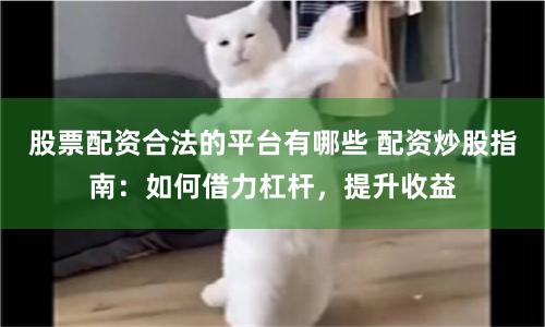 股票配资合法的平台有哪些 配资炒股指南：如何借力杠杆，提升收益
